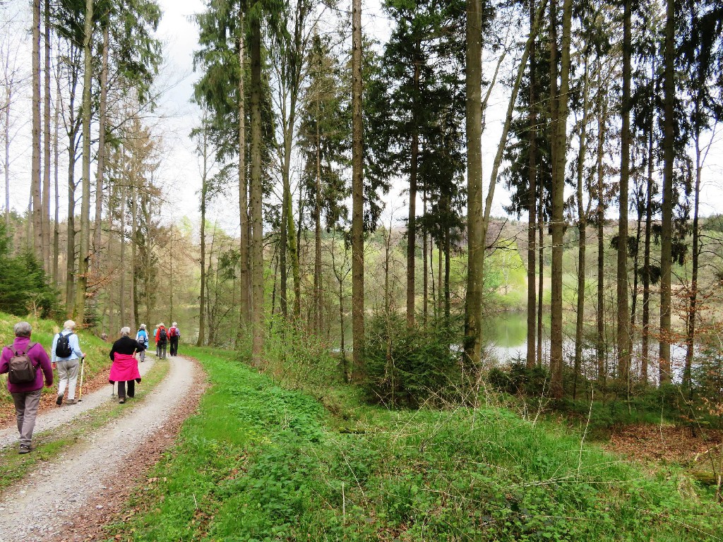 Wald und Weiher